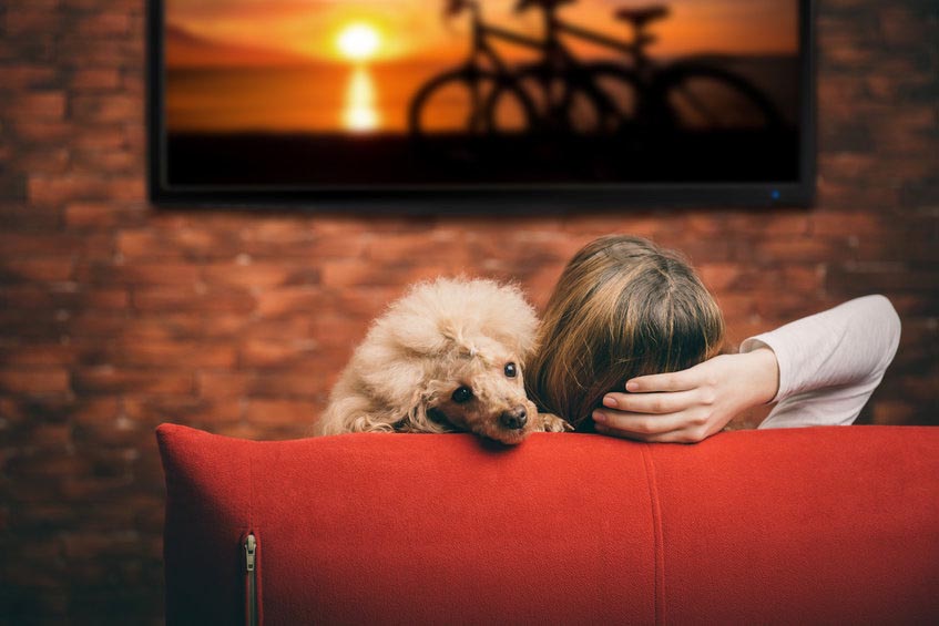 Mujer consume publicidad audiovisual en la Connected TV desde el sofá con su perro